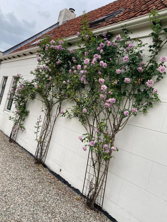 Appartamento Bij Ons Achter Biggekerke Esterno foto